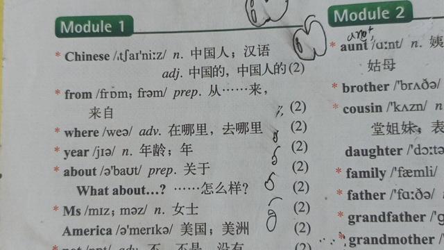 零基础怎么学好英语(零基础开始学好英语的策略)