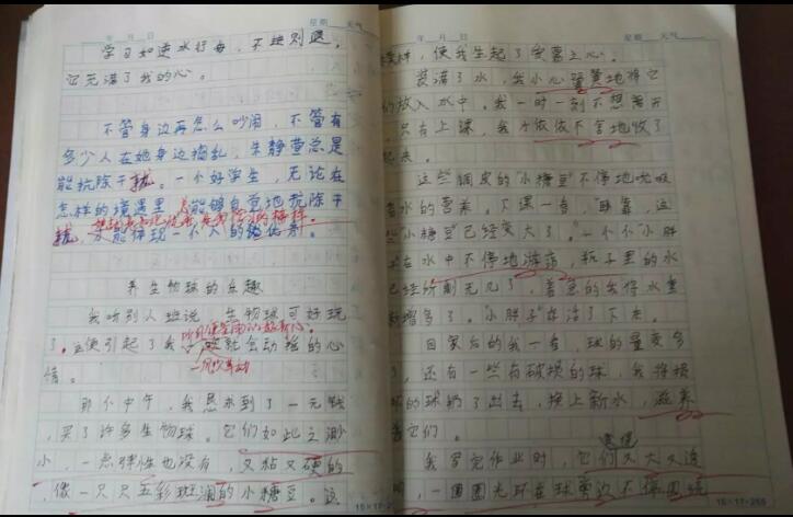 怎么提高复习能力(改善复习能力的策略)