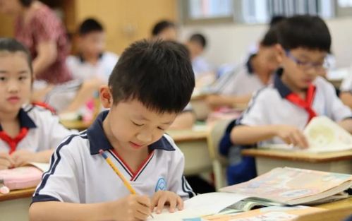 阅读理解怎么自学(自学阅读理解的步骤)