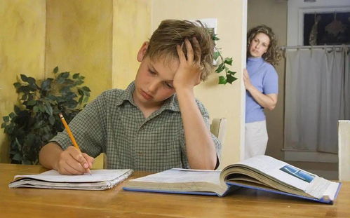 孩子怎样培养兴趣爱好(培养兴趣爱好的策略)