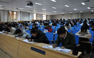 英语学习怎么投入精力(投入精力学习英语的策略)