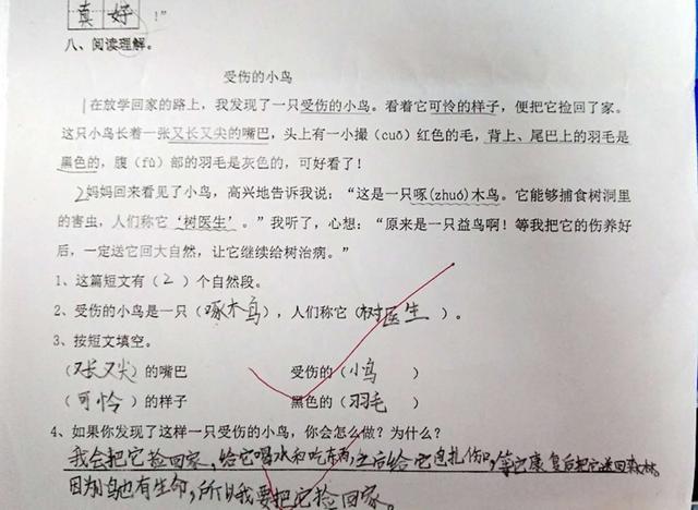 阅读理解赏析题怎么做好(应对阅读理解赏析题的策略)