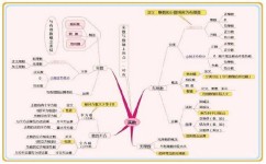 为什么我把初中数学全忘了(每天学习一点点每天进步一点)