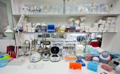 物理生物政治组合的优缺点是什么