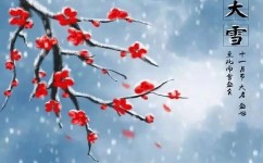 学语文为什么要学古诗呢