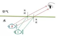 初中物理图像怎么解题