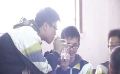如何学习初中物理力和运动(初中物理运动和力必错题)