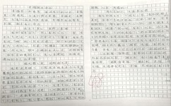 写字不好看写字慢怎么办(练字练字技巧)