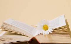 假期孩子补英语怎么补好(暑假英语偏科怎么补？学霸教你快速提分！)