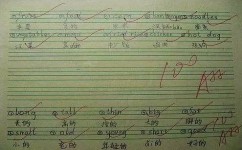 如何提升小孩英语听写水平(揭秘小学英语成绩真相！家长必看的默写训练秘籍)