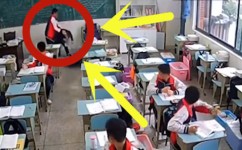 初中黑历史是什么(初中震撼黑历史揭秘)