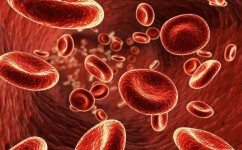 补铁的食物有哪些学习方法(【女生必看】四类食物吃出红润好气色补铁健康科普健康饮食)