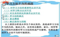 高三生学习方法有哪些(高三生必备！揭秘超实用学霸学习法，高效备战高考)