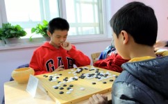 围棋学习方法有哪些(绝密！揭秘围棋高手学习法，轻松提升棋艺，秒变围棋天才)