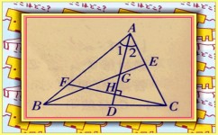 自学初中知识会怎么样(数学思维学习方法)