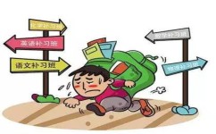 哪些学习方法都是假的(学生学习快速提高成绩的技巧)