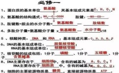 如何训练断句技巧口诀初中(文言文断句的技巧)