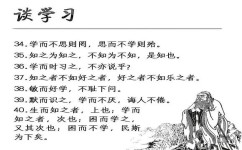 孔子有哪些好的学习方法(孔子的学习方法分享)