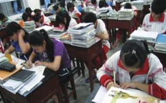 初二学习方法有哪些(给初二学生的各科建议)