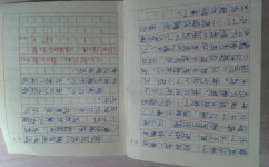 如何写好作文三年级(写好三年级作文的注意点)