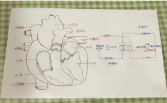 初中语文有哪些学习方法(初中语文的学习方法)