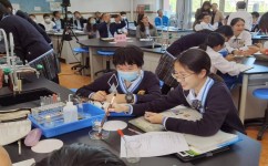 初中三年有哪些学习方法(适用于初中学习的方法)