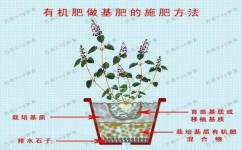 磷肥的施用技术有什么(常见的磷肥施用技术)