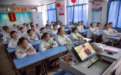 初中文体有哪些学习方法(学习初中文体的方法)