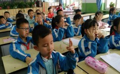 早教学习方法有哪些(常见的早教学习方法)