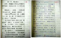 如何进行仿写(进行仿写的方法)