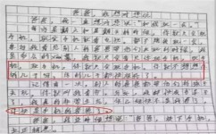 作文该如何写开头(写出引人入胜作文开头的方法)