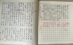 如何写好记事作文(写好记事作文的方法)