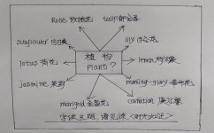 初中生如何高效背单词(高效地背单词的技巧)