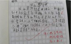 怎么写出高分记叙文(写出高分记叙文的步骤)