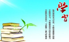 学习犯困怎么办(提高学习效率的方法)