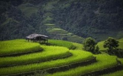 写作如何写出亮点(写作时突出亮点的方法)