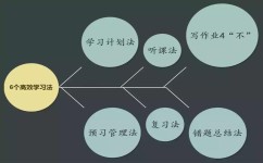 怎么高效学习(提高学习效率的方法)
