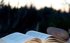 如何高效的听课(提高听课效率的建议)