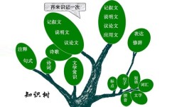 如何让孩子主动学习(激发孩子学习兴趣的方法)