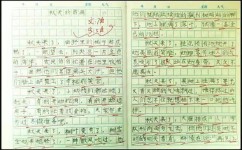 学习语文的经验有哪些(学习语文的经验分享)