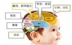 有效的背书方法有哪些(有效的背书方法分享)