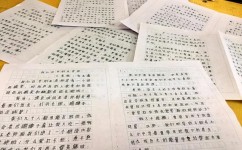 作文怎么写提纲(写作文提纲的步骤)