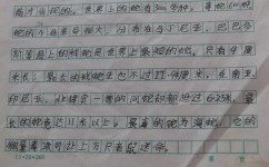 写动物作文如何写好(写好动物主题作文的技巧)
