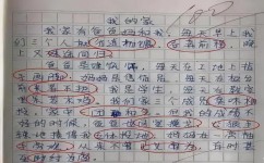 如何了解作文的本质(理解作文本质的技巧)