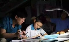 初学英语应该怎么规划(初学英语的规划方法)