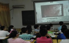 初中化学怎么提前学(提前学习初中化学的方法)